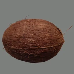 this is a coconut
